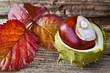 Herbst