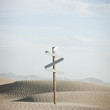 USA,Utah,Little Sahara,signpost in desert