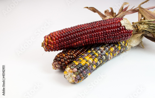 Photo: Decorative corn Decorative corn