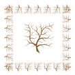 Frame from tree branches for your design