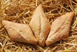 bread and wheat