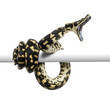 Jungle carpet python attacking, Morelia spilota cheynei