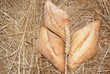 bread and wheat