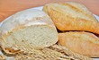 bread