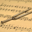 Photo: Stimmgabel Stimmgabel