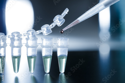 Photo: Stem cell research Stem cell research