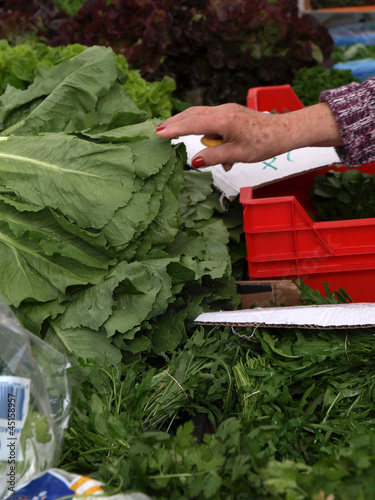Photo: frische-test am gemüsestand frische-test am gemüsestand