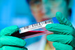 Photo: Food research Food research