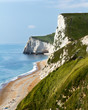 Coast at Durdle Door
