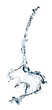 Photo: water splash water splash