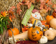 Autumn (Fall)  decoration