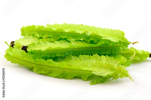 Photo: Young winged beans. Young winged beans.