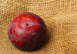 close-up of a plum