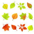 Set of Autumn Leaves
