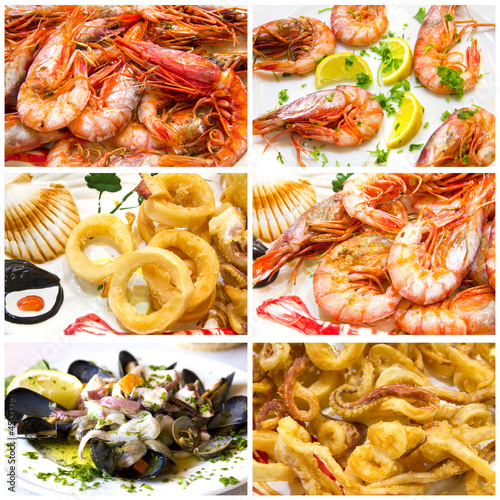 Photo: Collage - Fish and seafood Collage - Fish and seafood