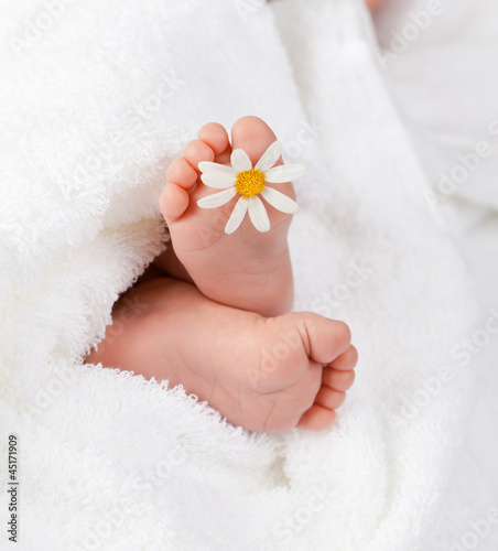Photo: Lovely infant foot with little white daisy Lovely infant foot with little white daisy