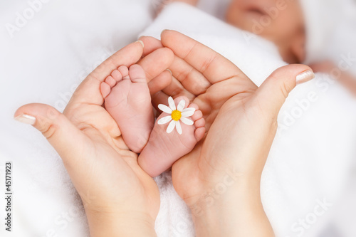 Photo: Lovely infant foot with little white daisy Lovely infant foot with little white daisy
