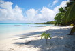 The Cook Islands