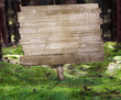 Sign in the Forest