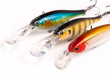 bait for fishing - wobbler on white
