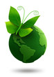 green butterfly sitting on green earth