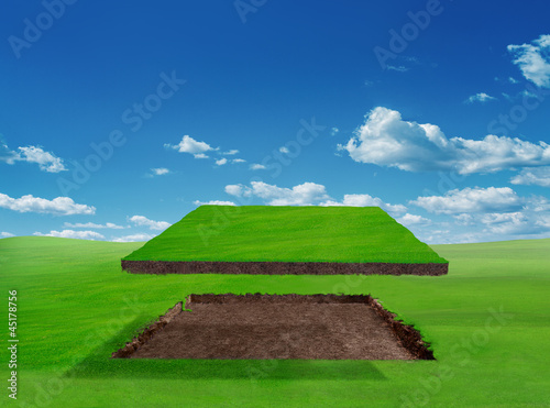 Illustration: piece of green land piece of green land