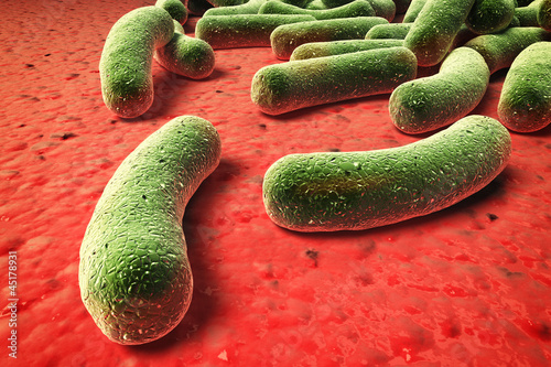Ilustración: bacteria,virus bacteria,virus