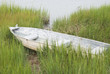 Boat in the Grass