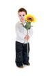 Foto: funny children on white background funny children on white background