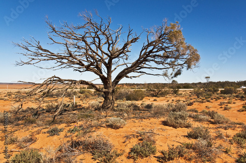 Photo: australian landscape australian landscape
