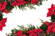 Photo: Poinsettia Floral Border Poinsettia Floral Border