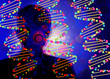 DNA