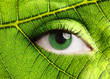 Leaf eye