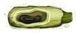 Marrow Eggplant Pea Pod Still Life Illustration