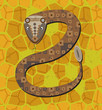 Rattlesnake