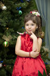 child under a fur-tree