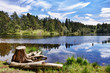 Photo: Tree Stump by a lake Tree Stump by a lake