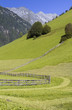 Sommerliche Almwiese in Südtirol, Italien