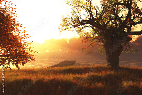 Illustration: Autumn Sunset / Sunrise at Lake 3D render Autumn Sunset / Sunrise at Lake 3D render