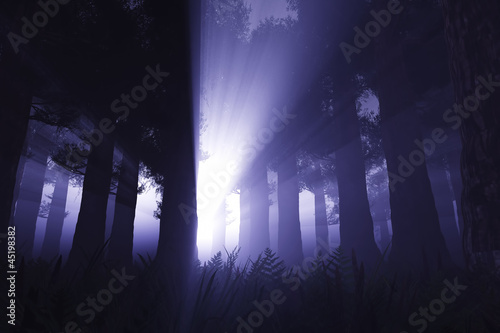Illustration: Supernatural scene in dark deep forest 3D render Supernatural scene in dark deep forest 3D render