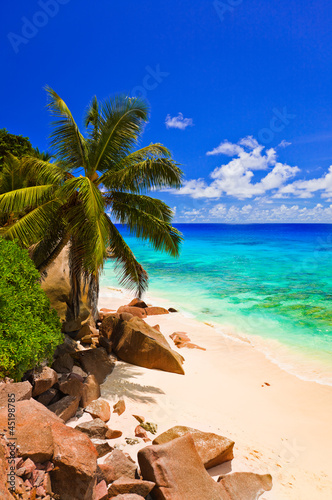 Photo: Tropical beach Tropical beach