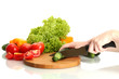 woman hands cutting vegetables on kitchen blackboard