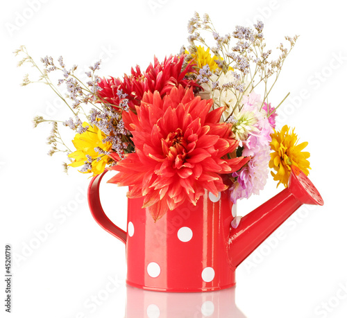 Photo: Red watering can with white polka-dot with flowers isolated Red watering can with white polka-dot with flowers isolated