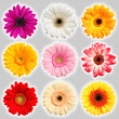 Foto: Sammlung Blumen - Collection of flowers Sammlung Blumen - Collection of flowers