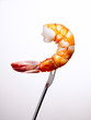 Shrimp