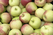 Foto: full frame apple background full frame apple background