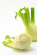 Fenchel