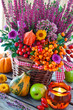 Herbst -  Dekoration