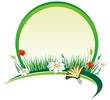 flowers banner