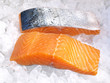 Roher Lachs auf Eis